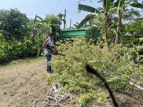 ออกดำเนินการตัดแต่งกิ่งไม้ที่จุดเสี่ยงอันตราย