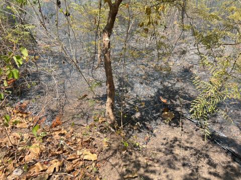 ออกระงับเหตุไฟไหม้ป่าเขาหลุบ