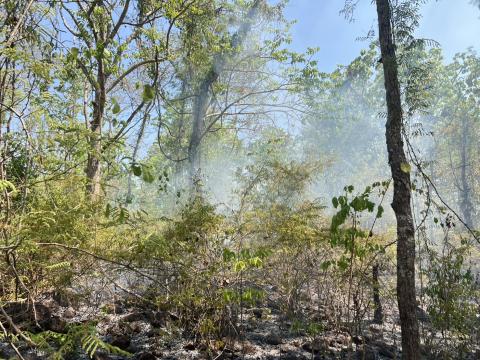 ออกระงับเหตุไฟไหม้ป่าเขาหลุบ