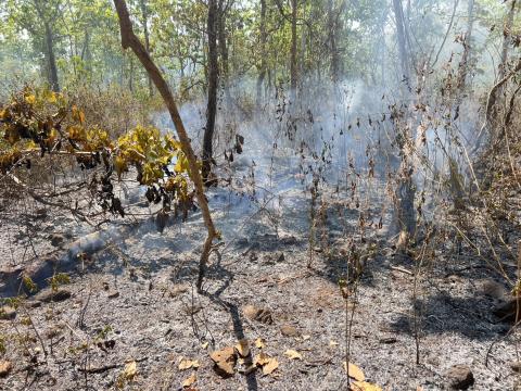 ออกระงับเหตุไฟไหม้ป่าเขาหลุบ