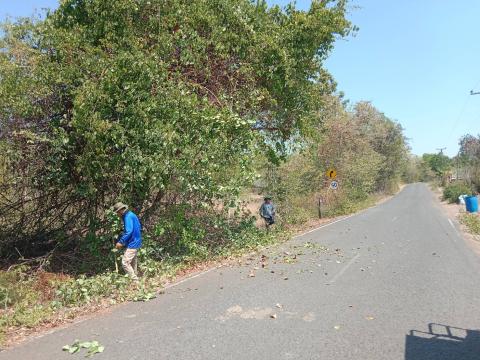 ตัดแต่งกิ่งไม้ข้างทาง