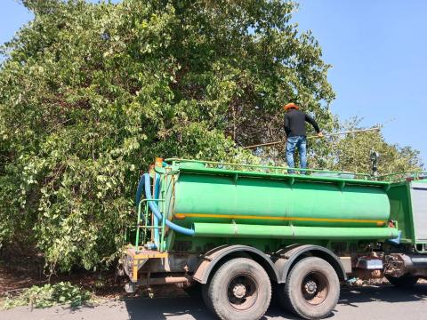 ตัดแต่งกิ่งไม้ข้างทาง