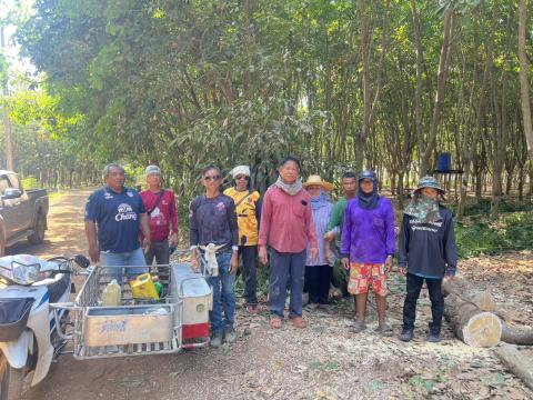 ต้นไม้ล้มกีดขวางการจราจร พื้นที่ หมู่ที่ 3