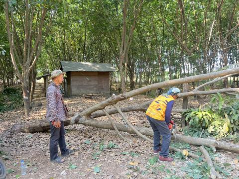 ต้นไม้ล้มกีดขวางการจราจร พื้นที่ หมู่ที่ 3