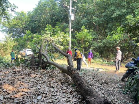 ต้นไม้ล้มกีดขวางการจราจร พื้นที่ หมู่ที่ 3