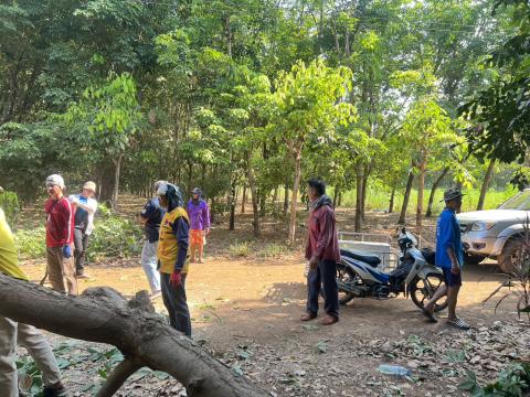 ต้นไม้ล้มกีดขวางการจราจร พื้นที่ หมู่ที่ 3