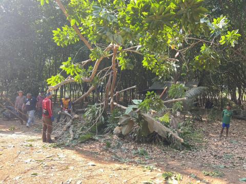 ต้นไม้ล้มกีดขวางการจราจร พื้นที่ หมู่ที่ 3