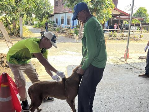 โครงการสัตว์ปลอดโรค คนปลอดภัย จากโรคพิษสุนัขบ้า ประจำปี 2569