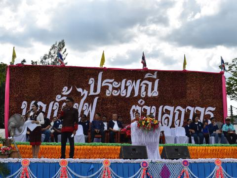 งานประเพณี บุญบั้งไฟตำบลถาวร ประจำปี 2569
