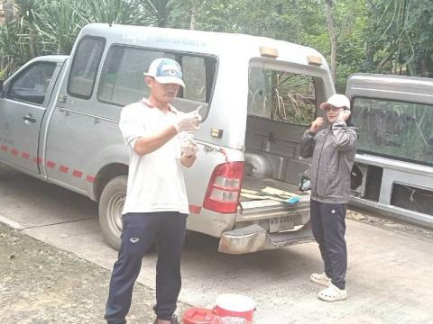 อกฉีดวัคซีนป้องกันโรคพิษสุนัขบ้าในสุนัขและแมว