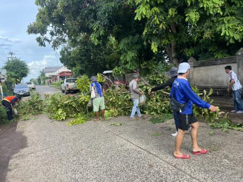 ตัดแต่งกิ่งไม้หักกีดขวางทางจราจร