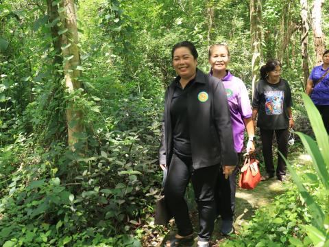โครงการอนุรักษ์พันธุกรรมพืชอันเนื่องมาจากพระราชดำริ สมเด็จพระเทพรัตนราชสุดาฯ สยามบรมราชกุมารี