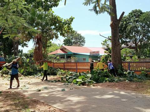 ตัดแต่งกิ่งไม้บริเวณโดยรอบโรงเรียนบ้านถาวร