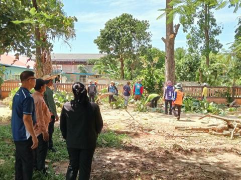 ตัดแต่งกิ่งไม้บริเวณโดยรอบโรงเรียนบ้านถาวร