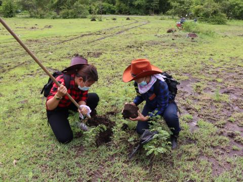 8 กันยายน 2564 โครงการปลูกป่าเพื่ออนุรักษ์ ฟื้นฟู ป่าต้นน้ำ เขาแ