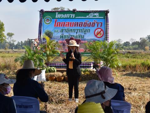 โครงการไถกลบตอซังข้าว และสาธิตการปลูกพืชบำรุงดิน