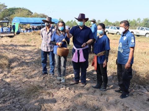 โครงการไถกลบตอซังข้าวและสาธิตการปลูกพืชบำรุงดิน ประจำปีงบประมาณ 2565 งานส่งเสริมการเกษตร สำนักปลัด