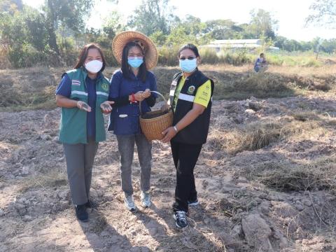 โครงการไถกลบตอซังข้าวและสาธิตการปลูกพืชบำรุงดิน ประจำปีงบประมาณ 2565 งานส่งเสริมการเกษตร สำนักปลัด