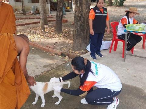 ฉีดวัคซีนโรคพิษสุนัขบ้า ให้แก่สุนัขและแมว