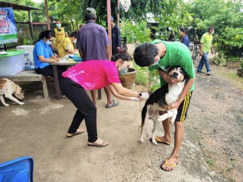 การฉีดวัคซีนป้องกันโรคพิษสุนัขบ้า ประจำปี 2565