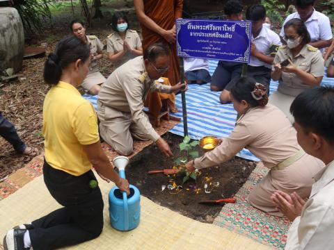 ปลูกต้นไม้แห่งความดี ปลูกต้นพระศรีมหาโพธิ์จากประเทศอินเดีย ณ วัดป่าไตรภูมิ