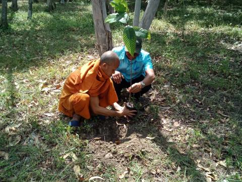 ปลูกป่าเฉลิมพระเกียรติ สมเด็จพระนางเจ้าสิริกิติ์ พระบรมราชินีนาถ พระบรมราชชนนีพันปีหลวง