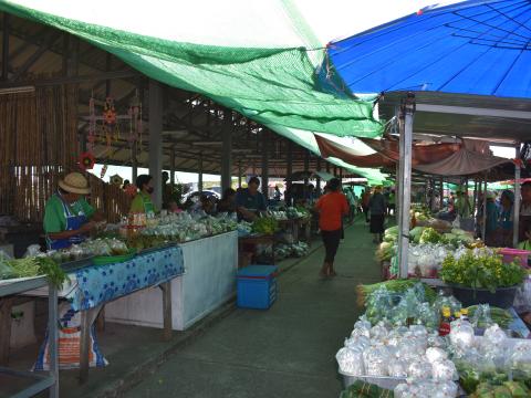 ภาพบรรยากาศงานเปิดตลาดนัดท้องถิ่นสีเขียว