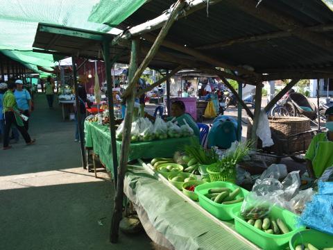 ภาพบรรยากาศงานเปิดตลาดนัดท้องถิ่นสีเขียว