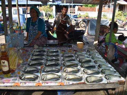 ภาพบรรยากาศงานเปิดตลาดนัดท้องถิ่นสีเขียว