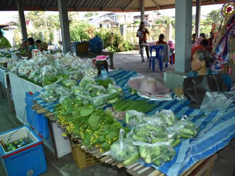 ภาพบรรยากาศงานเปิดตลาดนัดท้องถิ่นสีเขียว