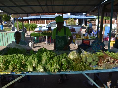 ภาพบรรยากาศงานเปิดตลาดนัดท้องถิ่นสีเขียว