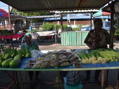 ภาพบรรยากาศงานเปิดตลาดนัดท้องถิ่นสีเขียว