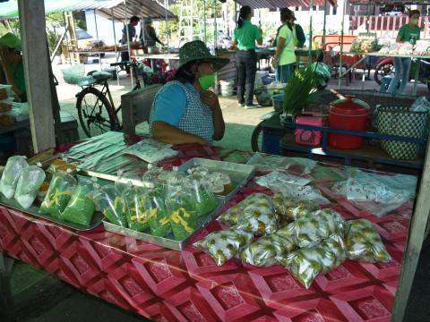 ภาพบรรยากาศงานเปิดตลาดนัดท้องถิ่นสีเขียว