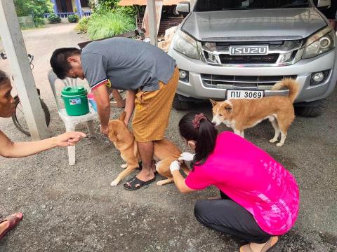 ฉีดวัคซีนป้องกันและควบคุมโรคพิษสุนัขบ้าประจำปี 2556