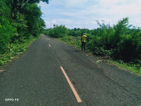ปรับภูมิทัศน์ถนนเส้นทางระหว่างถาวร - โคกสำราญ