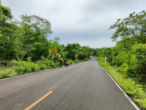 ปรับภูมิทัศน์ถนนเส้นทางระหว่าง บ้านถาวร - โคกสำราญ