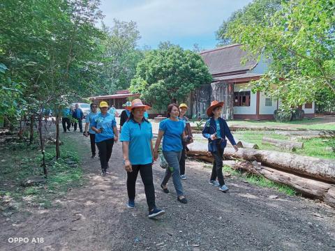 โครงการปลูกต้นไม้เฉลิมพระเกียรติสมเด็จพระนางเจ้าสิริกิติ์ พระบรมราชินีนาถ พระบรมราชชนนีพันปีหลวง