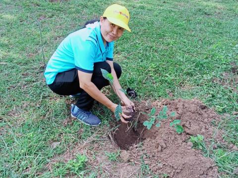 โครงการปลูกต้นไม้เฉลิมพระเกียรติสมเด็จพระนางเจ้าสิริกิติ์ พระบรมราชินีนาถ พระบรมราชชนนีพันปีหลวง