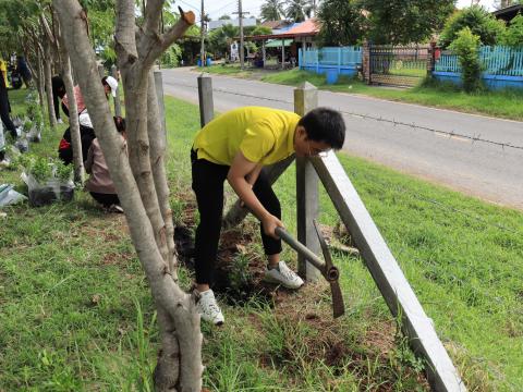 กิจกรรมร่วมปลูกต้นไม้ (ไทรอินเดีย)