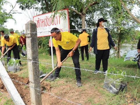 กิจกรรมร่วมปลูกต้นไม้ (ไทรอินเดีย)