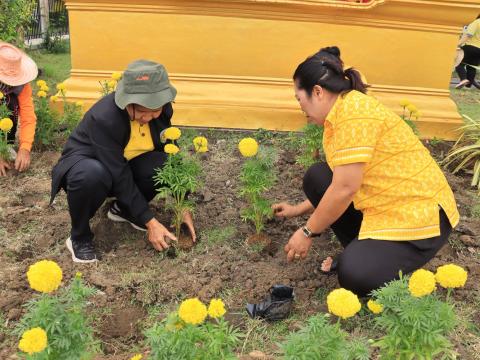 กิจกรรมปลูกดอกดาวเรืองเฉลิมพระเกียรติ