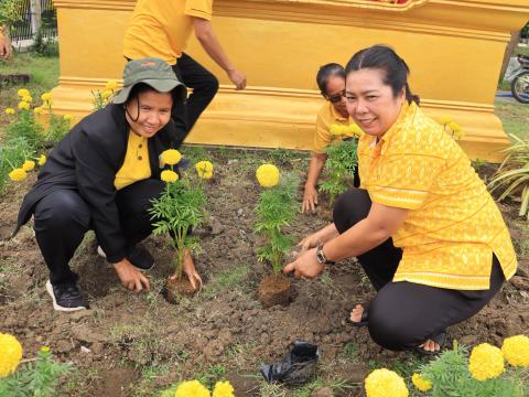 กิจกรรมปลูกดอกดาวเรืองเฉลิมพระเกียรติ