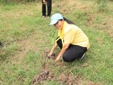 ร่วมโครงปลูกป่าเฉลิมพระเกียรติ