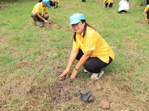 ร่วมโครงปลูกป่าเฉลิมพระเกียรติ